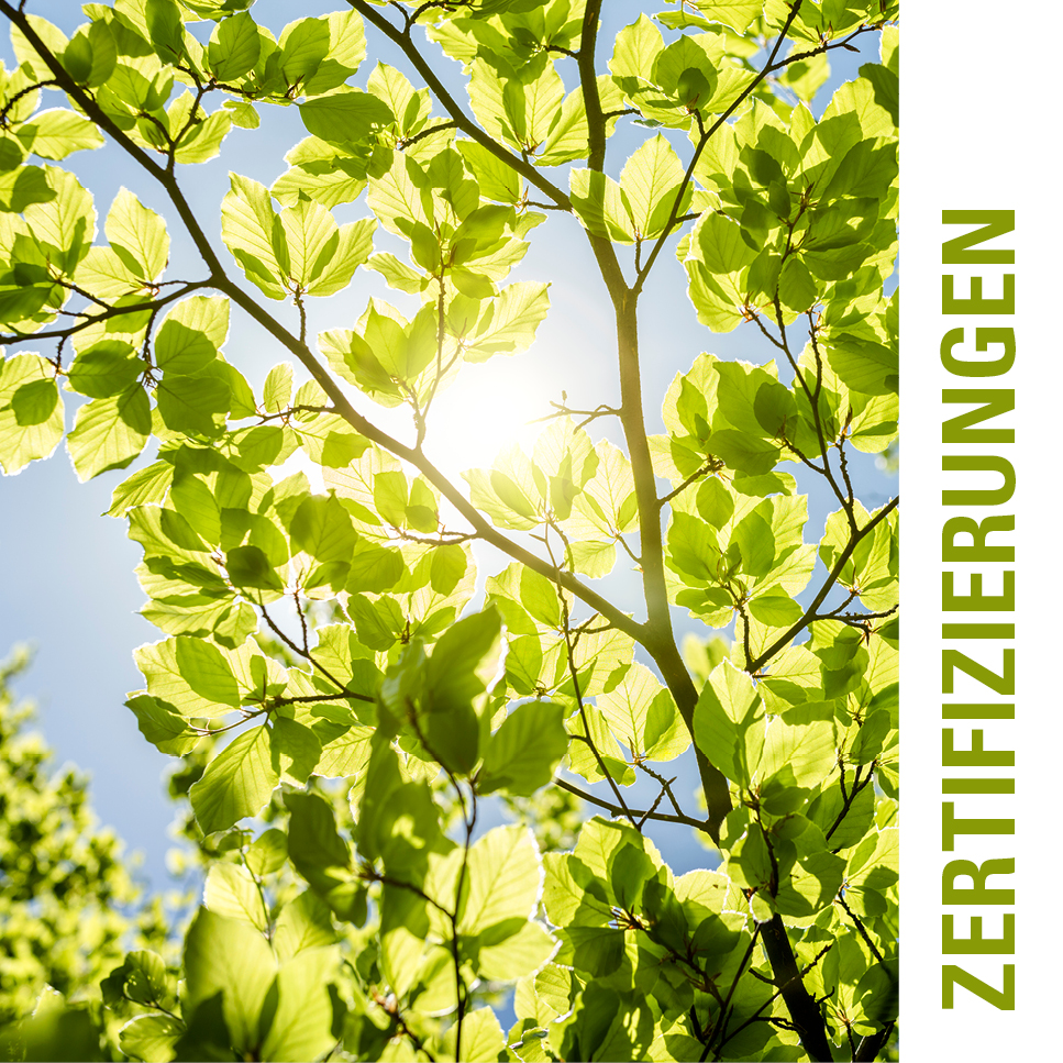 ESG-Merkmale und Produktzertifizierungen